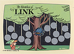 Link 5